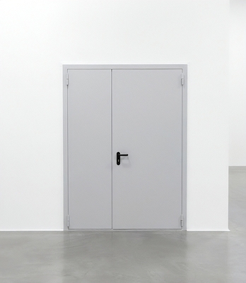 Глухая полуторная дверь