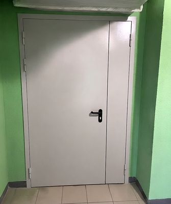 Глухая полуторная дверь